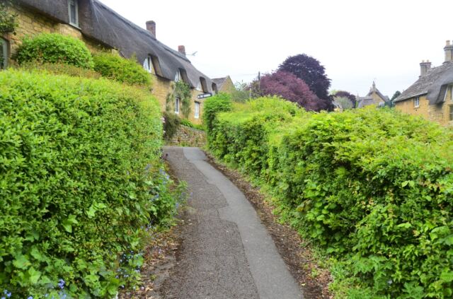 Pathway to St. Eadburgha's Church (1)