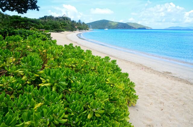 Last morning on Mahoe Bay 4