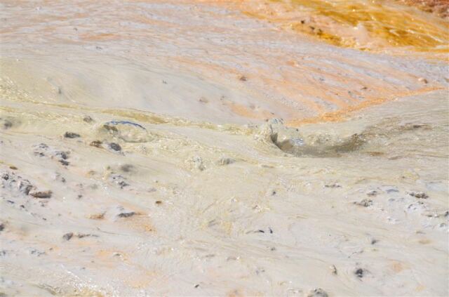Mammoth Hot Springs Terrace (8)