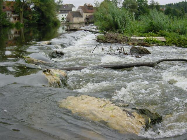 rapids