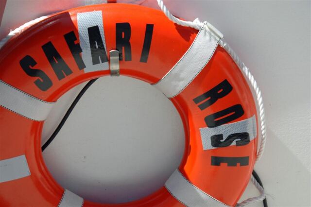 Safari Rose life preserver
