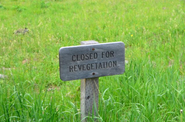 Closed for Revegetation