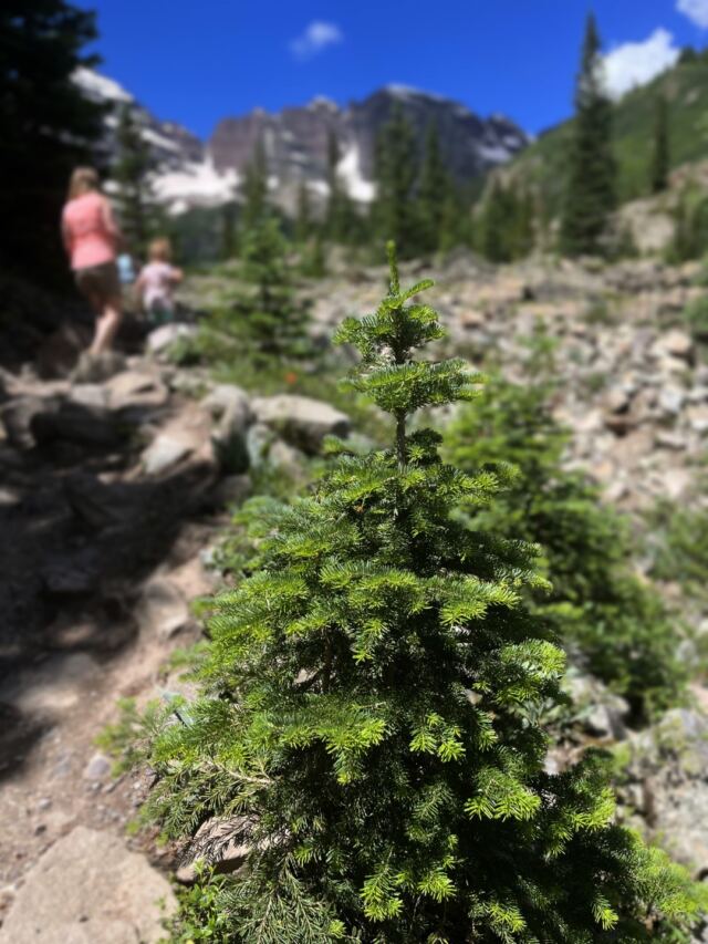 Crater Lake hike 07