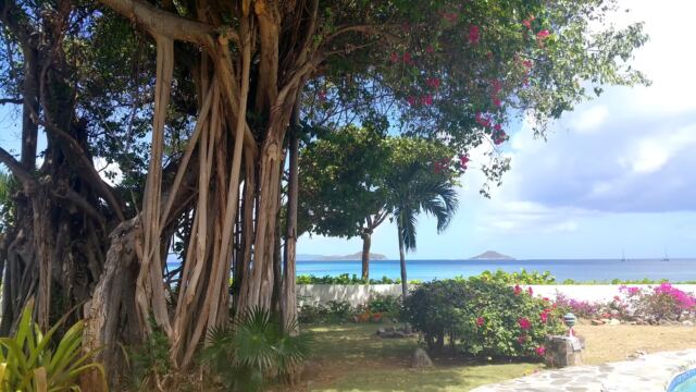 Last morning on Mahoe Bay 11