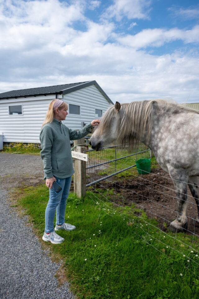 The Shetland Pony Experience 15