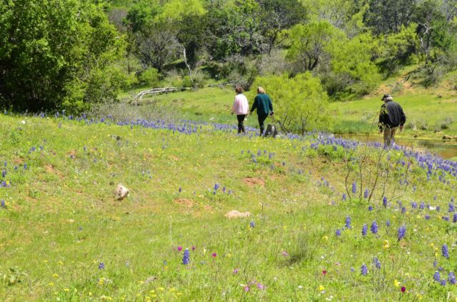 Kathy Geri and Paul walking in the distance 1