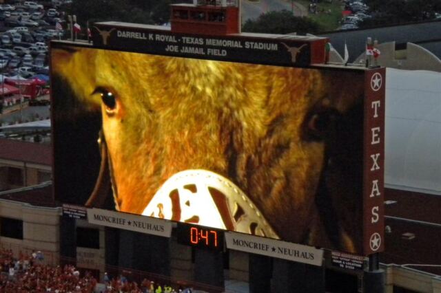 The Eyes of Bevo Are Upon You