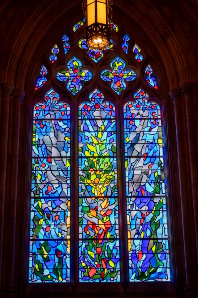 Cathedral stained glass 4