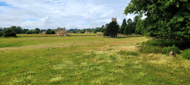 Chipping Campden sheep fields (10)