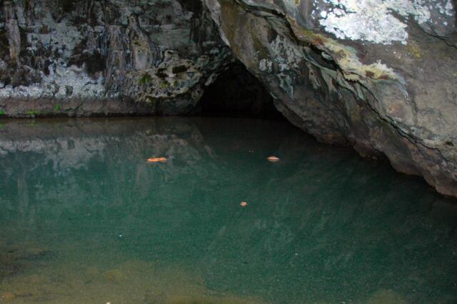 Water (duh) in the Wet Cave