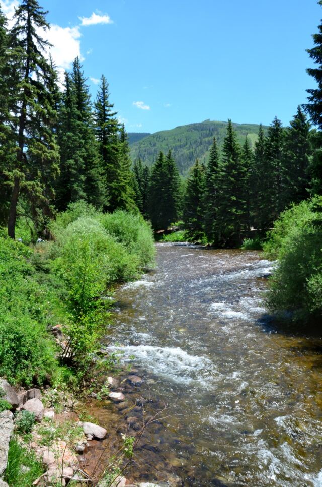 Gore Creek 11