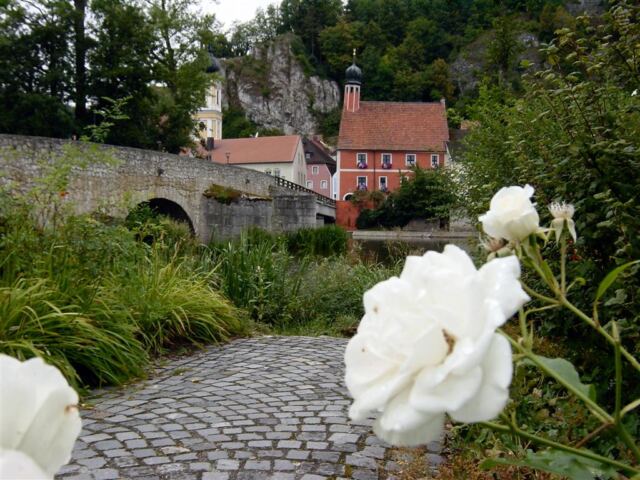 white-roses-and-bridge