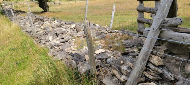 Dry stack stone wall repair (3)