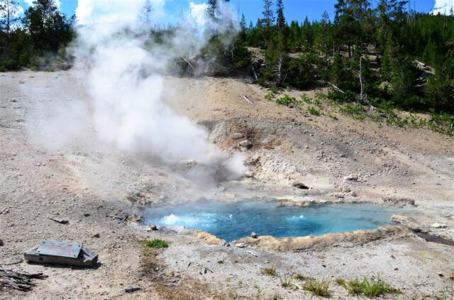 Mammoth Hot Springs Terrace (11)