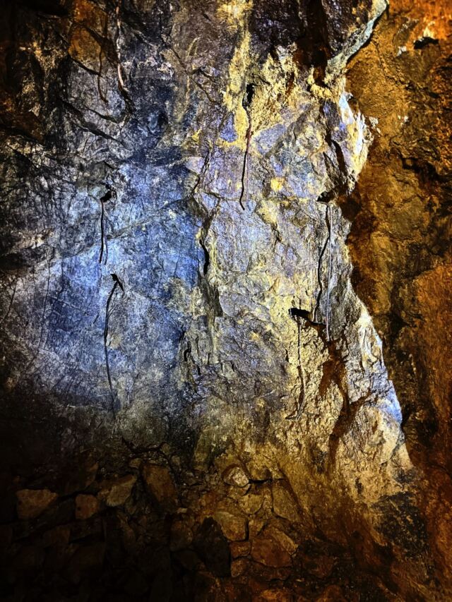 Rich ore veins 3