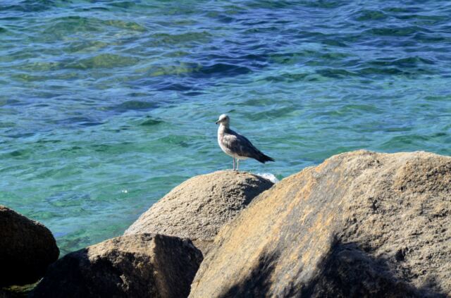 Sand Harbor 08