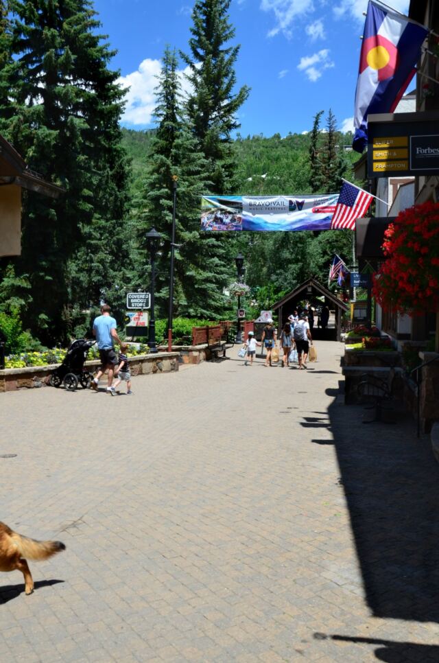 Vail views 3