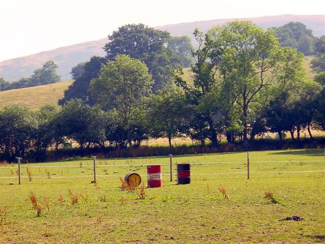 English barrels