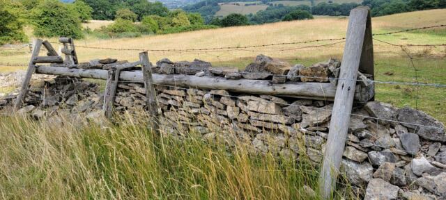 Dry stack stone wall repair (2)