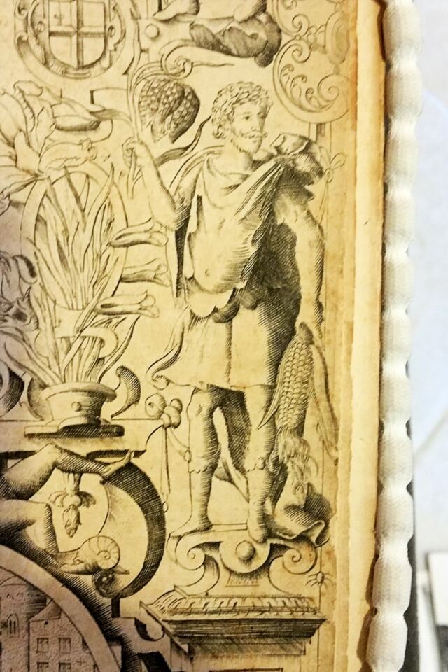 herbal-catalog-published-in-1597-image-theorized-to-be-of-shakespeare-3