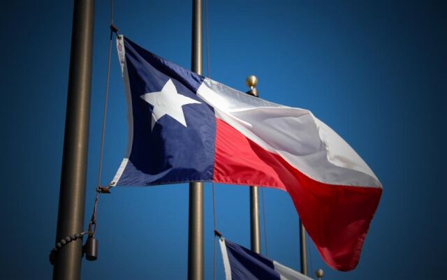 Lone Star State flag