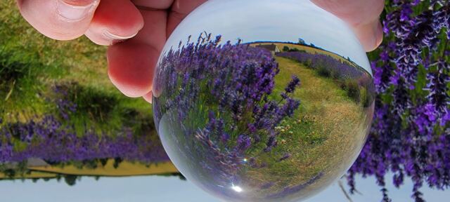 Cotswold Lavender - spherical views (3)