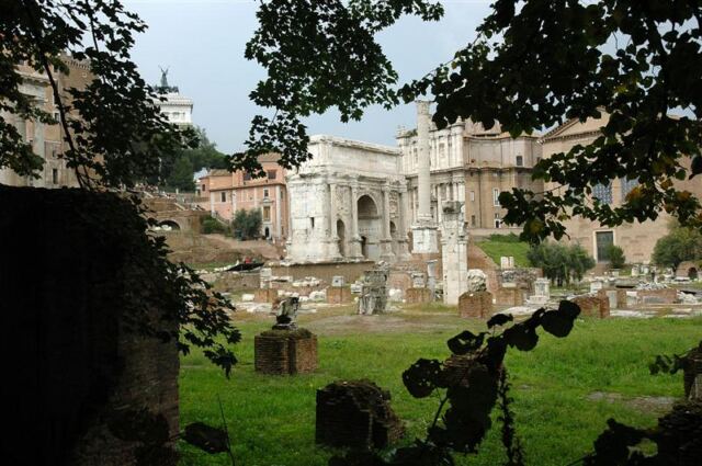 Forum Romanum through the trees