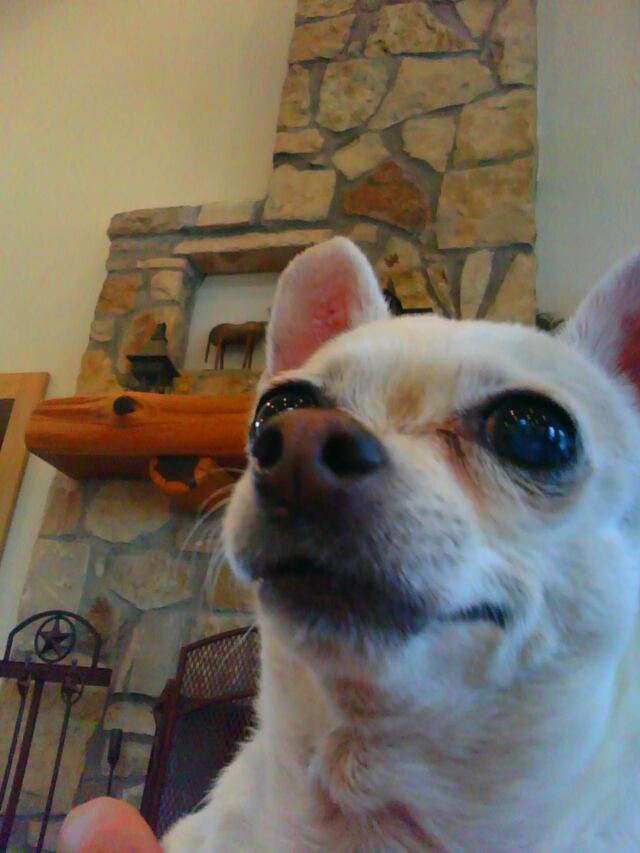imag0525