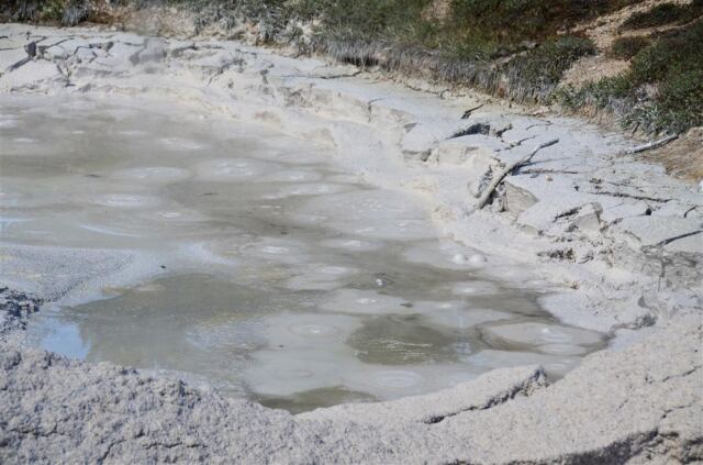 Artists' Paintpots (8)