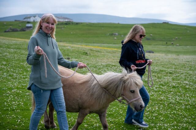 The Shetland Pony Experience 68