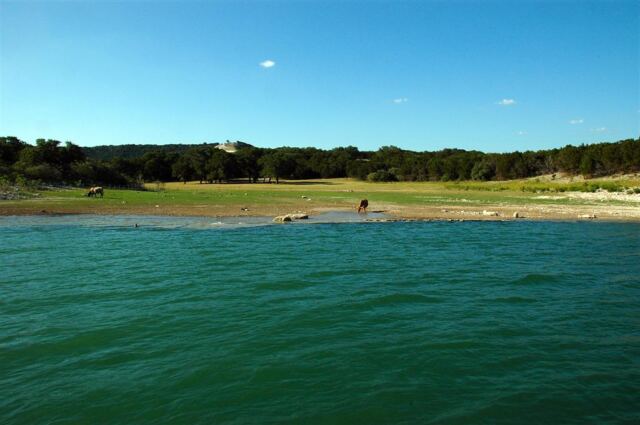 longhorn-cove-2-