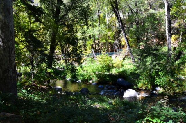 Junipine Creek views (14)