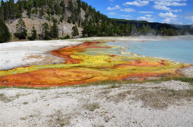 Excelsior Geyser runoff stream (12)