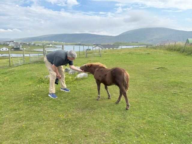 The Shetland Pony Experience 36