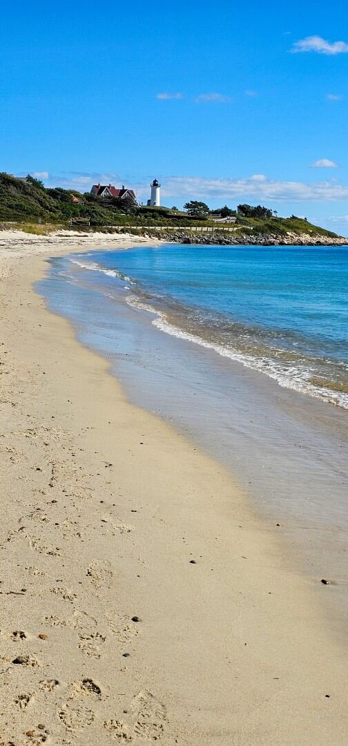 Nobska Beach 05