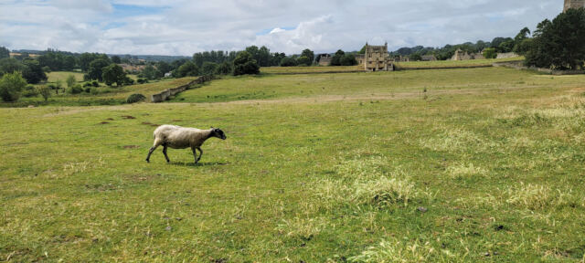Chipping Campden - East Banqueting House (07)