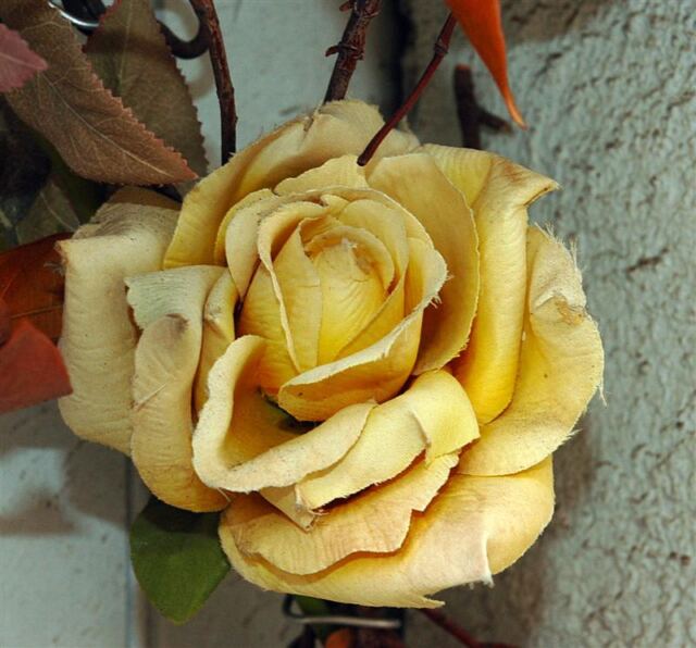 Rose detail... it's a fake!