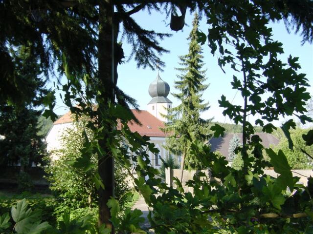 church-through-trees