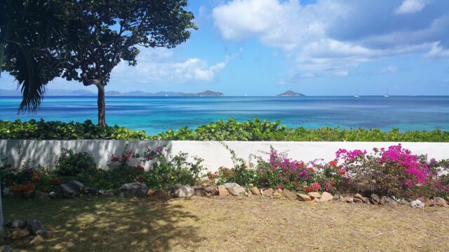 Last morning on Mahoe Bay 10