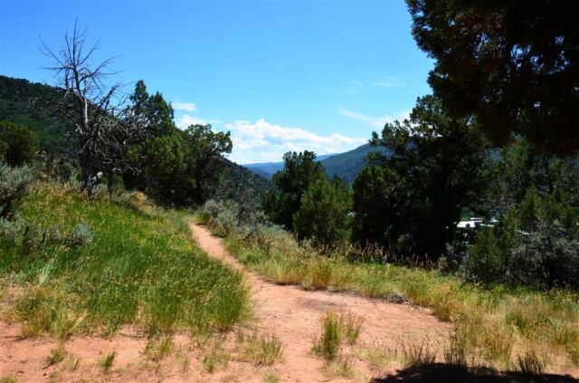 Scraggly path