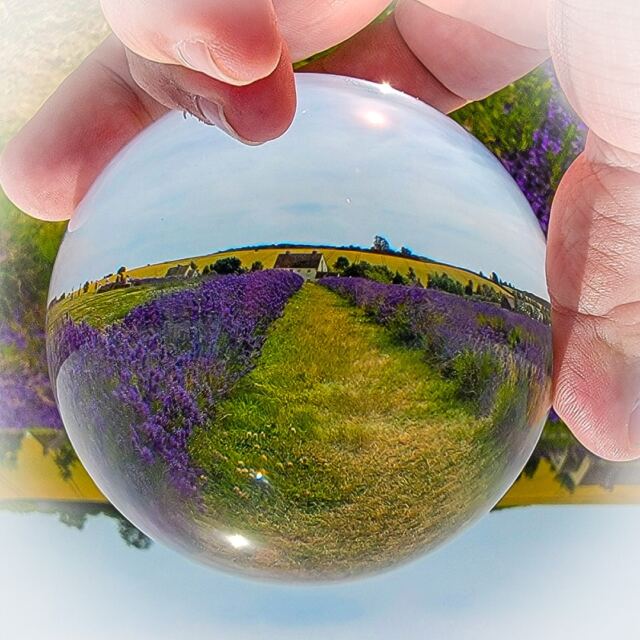 Cotswold Lavender - spherical views (2)