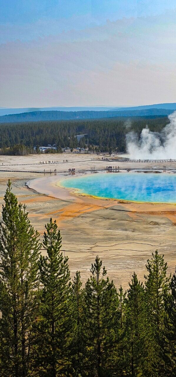 Grand Prismatic Spring from overlook (4)
