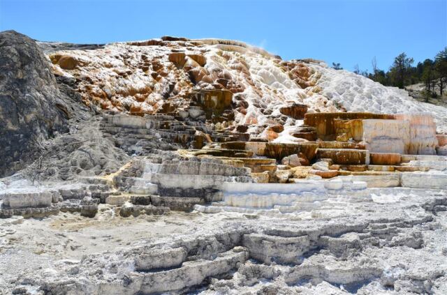 Devil's Thumb (Mammoth Hot Springs) (8)