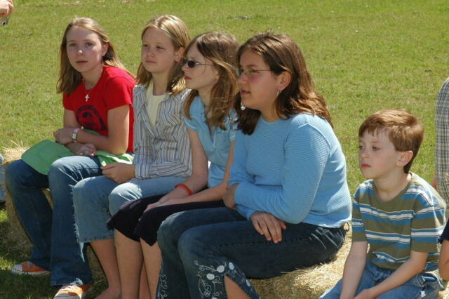 Waiting for the horses 1