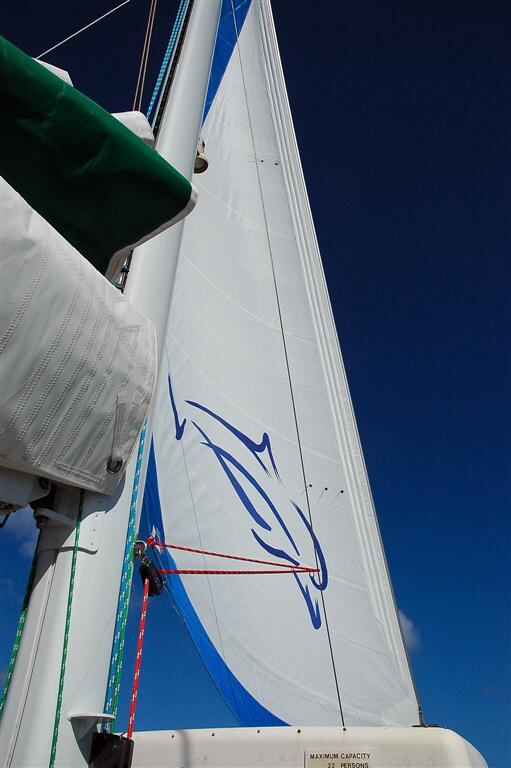 Catamaran sail