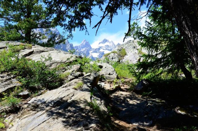 A shady rest stop before continuing to Cascade Canyon