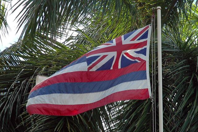 Hawaiian state flag
