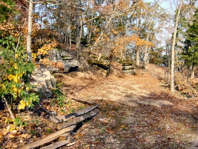rocks-logs-and-leaves