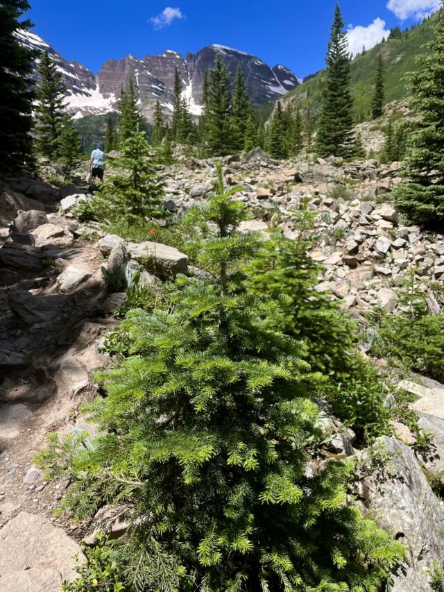 Crater Lake hike 06