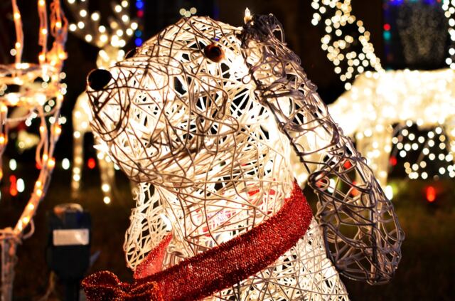 Outdoor-decorations-14